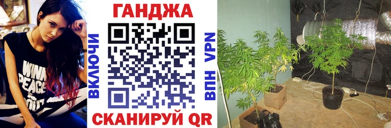 Бошки Шишки AK-47 наркотики Новотроицк